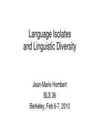 Language Isolates and Linguistic Diversity