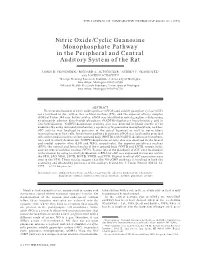 Nitric Oxide/Cyclic Guanosine Monophosphate Pathway in the Peripheral and Central Auditory System of the Rat