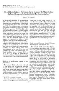 On a Hitherto Unknown Phyllosoma Larval Species of the Slipper Lobster Scyllarus (Decapoda, Scyllaridae) in the Hawaiian Archipelago L