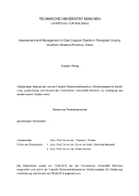 Report About Results Obtained Within the DFG Project Package