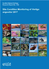 Site Condition Monitoring of Vertigo Angustior 2017