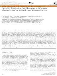 &lt;Alpha&gt;11&lt;Beta&gt;1 Integrin Is a Receptor for Interstitial Collagens