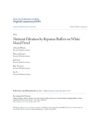 Nutrient Filtration by Riparian Buffers on White Island Pond Anthony Dibiasio Worcester Polytechnic Institute