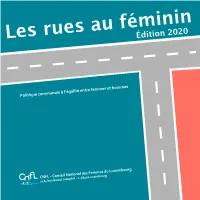 Pdf Publication Edition 2020