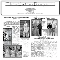 The-Cat's-Dispatch