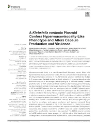 A Klebsiella Variicola Plasmid Confers Hypermucoviscosity-Like Phenotype and Alters Capsule Production and Virulence