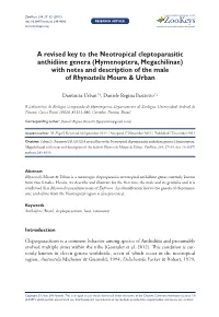 A Revised Key to the Neotropical Cleptoparasitic Anthidiine Genera