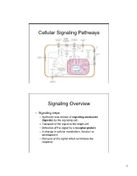 Cellular Signaling Pathways