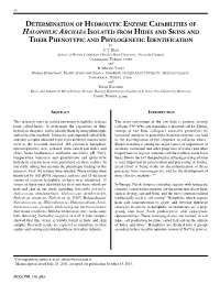 Determination of Hydrolytic Enzyme Capabilities of Halophilic Archaea Isolated from Hides and Skins and Their Phenotypic and Phylogenetic Identification by S