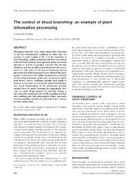 The Control of Shoot Branching: an Example of Plant Information Processing
