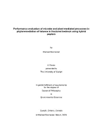 Performance Evaluation of Microbe and Plant-Mediated Processes in Phytoremediation of Toluene in Fractured Bedrock Using Hybrid Poplars