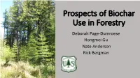 Prospects of Biochar Use in Forestry