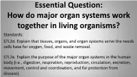 Respiratory System Respiratory System the Role of the Respiratory System Is to Take in Oxygen and Release Carbon Dioxide from the Body