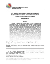 The Study of Cuticular and Epidermal Features in Fossil Plant Impressions Using Silicone Replicas for Scanning Electron Microscopy