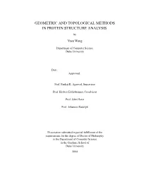 Geometric and Topological Methods in Protein Structure Analysis