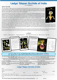 Ladys' Slipper Orchids of India