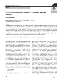 Recent Progress in Reconstructing Lophotrochozoan (Spiralian) Phylogeny