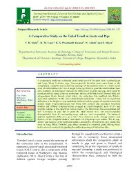A Comparative Study on the Tubal Tonsil in Goats and Pigs