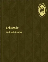 AA Arthropods Fact Sheet.Ai