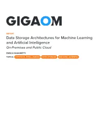 Data Storage Architectures for Machine Learning and Artificial Intelligence On-Premises and Public Cloud