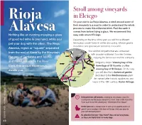 Rioja Alavesa, a Stroll Around Some of Their Vineyards Is a Must in Order to Understand the Whole Process to Make This Millennial Drink