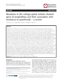 Mutations in the Voltage-Gated Sodium Channel Gene of Anophelines And
