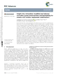 Insight Into Mineralizer Modified and Tailored Scorodite Crystal