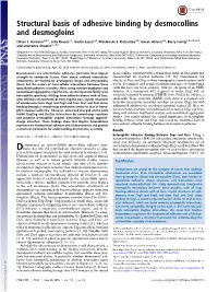 Structural Basis of Adhesive Binding by Desmocollins and Desmogleins