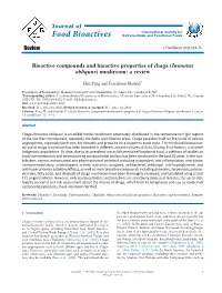 Inonotus Obliquus) Mushroom: a Review