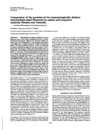 Desmin and Vimentin