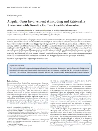 Angular Gyrus Involvement at Encoding and Retrieval Is Associated with Durable but Less Specific Memories