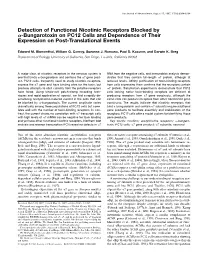 Detection of Functional Nicotinic Receptors Blocked by ␣-Bungarotoxin on PC12 Cells and Dependence of Their Expression on Post-Translational Events