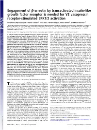 Engagement of Β-Arrestin by Transactivated Insulin-Like Growth Factor Receptor Is Needed for V2 Vasopressin Receptor-Stimulated ERK1/2 Activation