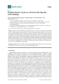 Peptide Nucleic Acids As a Tool for Site-Specific Gene Editing