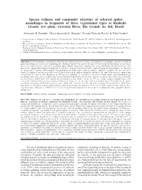 Species Richness and Community Structure of Arboreal Spider Assemblages