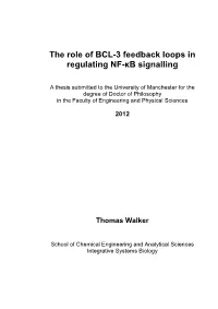 The Role of BCL-3 Feedback Loops in Regulating NF-Κb Signalling
