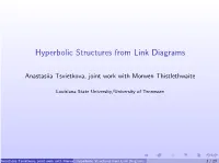 Hyperbolic Structures from Link Diagrams