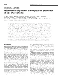 Methanethiol-Dependent Dimethylsulfide Production in Soil Environments