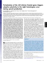 Perturbation of the Left Inferior Frontal Gyrus Triggers Adaptive Plasticity in the Right Homologous Area During Speech Production