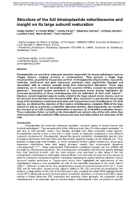 Structure of the Full Kinetoplastids Mitoribosome and Insight on Its Large Subunit Maturation