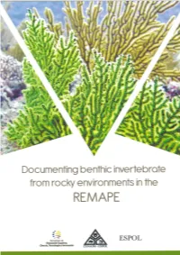 Documenting Benthic Invertebrate from Rocky Environments in the REMAPE