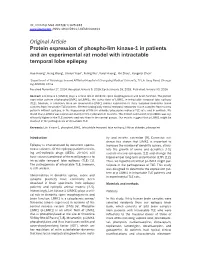 Original Article Protein Expression of Phospho-Lim Kinase-1 in Patients and an Experimental Rat Model with Intractable Temporal Lobe Epilepsy