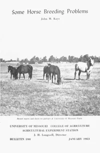 Some Horse Breeding Problems
