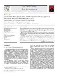 Brain Research Bulletin Sensitization of Voltage Activated Calcium Channel Currents for Capsaicin in Nociceptive Neurons by Tumo