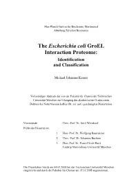 The Escherichia Coli Groel Interaction Proteome: Identification and Classification