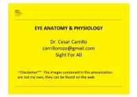 Eye Anatomy Slides File