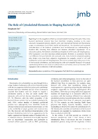 The Role of Cytoskeletal Elements in Shaping Bacterial Cells Hongbaek Cho*