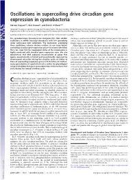 Oscillations in Supercoiling Drive Circadian Gene Expression in Cyanobacteria