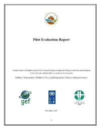Pilot Evaluation Report