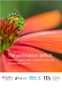 The Pollination Deficit Towards Supply Chain Resilience in the Face of Pollinator Decline